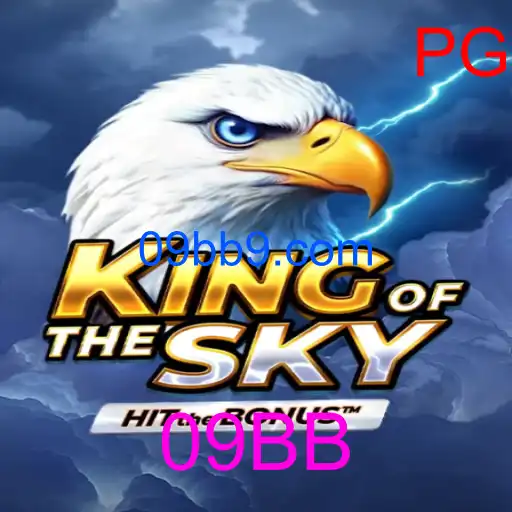 KingOfTheSky